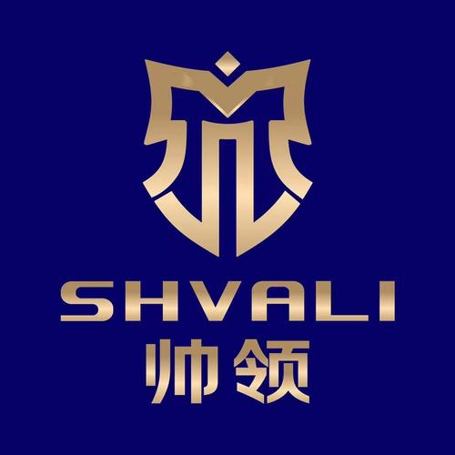 互联赋能，智启未来——广东帅领智能电器网络技术服务解析